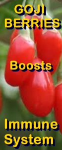 Ormus Minerals --Goji Berries benefit boosts IMMUNE SYSTEM