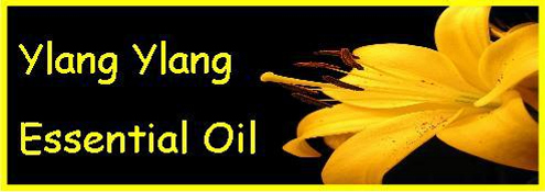 Ormus Minerals YLANG YLANG Essential Oil Products